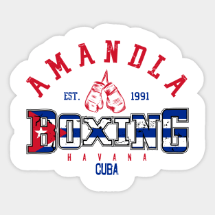 World Amandla 11.0 Sticker